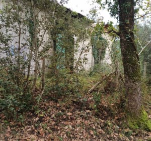 Promenons-nous dans les bois de la Coube - La Tremblade - 4