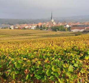 Balade autour de Chamery - Chamery - 4