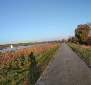Widokowa trasa rowerowa Piaski-Szczygliczka - Ostrów Wielkopolski - 2