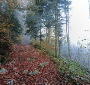 Les Baumes Champdray les Gouttelles - Sébastien  - 3