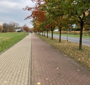 Cmentarz Bródnowski Dookoła - Warszawa - 4