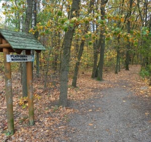 Wieża widokowa - Szczecin - 3