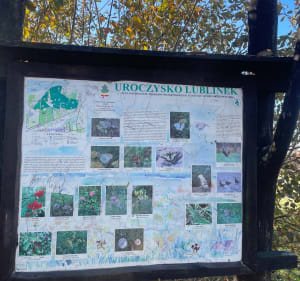 Uroczysko leśna ścieżka - Łódź - 3