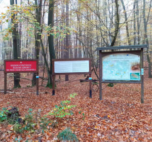 Śladami Historii i Natury – Trasa po Puszczy Bukowej - Szczecin - 4