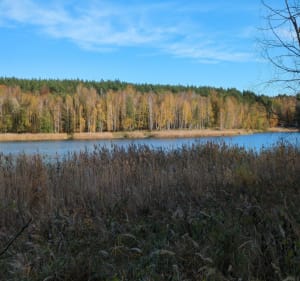 Wokół jeziora Kamińsko - Kamińsko - 5