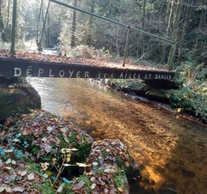 Bellefontaine par la forêt de la Halleuche et la Meilleure - Bellefontaine - 5