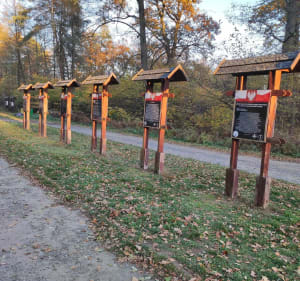 Mielec - okolice Stawu Mościska - Mielec - 4
