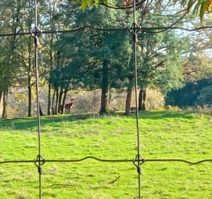 Boucle à Saint Symphorien sur Couze - Saint-Pardoux-le-Lac - 4