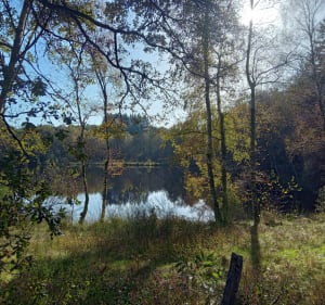 Boucle à Saint Symphorien sur Couze - Saint-Pardoux-le-Lac - 5