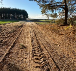Równina Podlaska - Kruszyn - 5