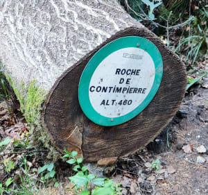 Circuit des Roches de Contimpierre - Domfaing - 3
