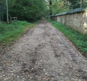 Arpenty - Bruyère le Châtel - Fontenay-les-Briis - Bruyères-le-Châtel - 5