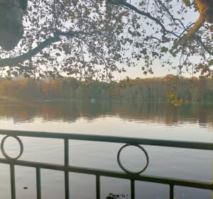 Balade au parc de la Tête d'Or - Lyon - 5