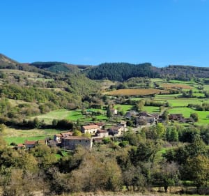 Balade en Bourgogne entre vignes et bois - Blanot - 3
