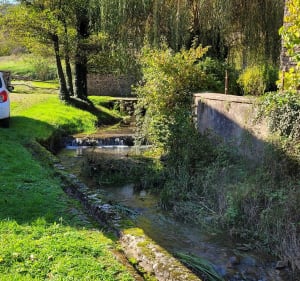 Balade en Bourgogne entre vignes et bois - Blanot - 4