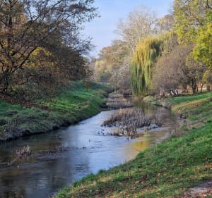 Klecińskie ósemki, 3,5km pieszo/biegiem. - Wrocław - 3