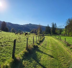 Petite balade en famille par le Col de France - Meillonnas - 3