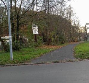 Spacer przez uliczkę działek w stronę Bucholca i rzeki Bóbr - Lwówek Śląski - 4