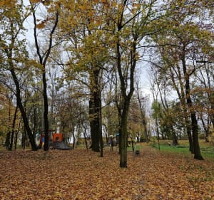 Park Donnersmarcków - Piekary Śląskie - 4