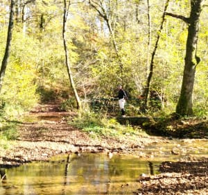 La boucle des Auxelles - Giromagny - 3
