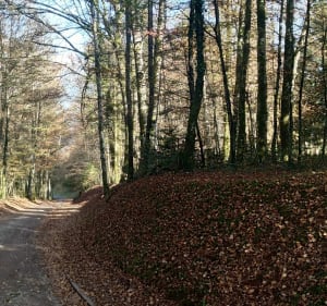 La boucle des Auxelles - Giromagny - 4