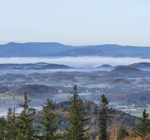 Sokolik z Jeleniej Góry - Jelenia Góra - 3