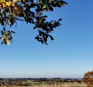 Trasa spacerowa na Wolę Zręczycką i do Dworu Feillów - Podolany - 5