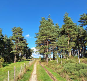 Balade vers Brangeresse - Grezes - 3