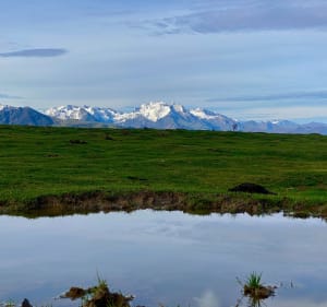 Cap des Bentails - Vier-Bordes - 4