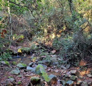 Notre Dame d'Afrique et la grotte de Gardanne depuis les Mineurs - Théoule-sur-Mer - 3