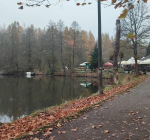Niebieska i czarna trasa rowerowa przez staw Janina - Marek - 3