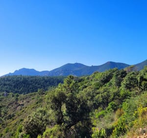 Notre Dame d'Afrique et la grotte de Gardanne depuis les Mineurs - Théoule-sur-Mer - 5