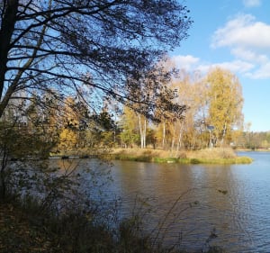 Pętla dookoła zalewu w Blachowni - Blachownia - 3