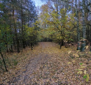 Pomnik patriotów polskich - Murowana Goślina - 3