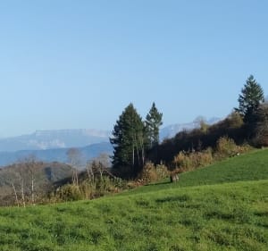La croix des Cochettes - Bilieu - 3