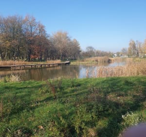 Przejazd po Czeladzkich parkach - Czeladź - 4