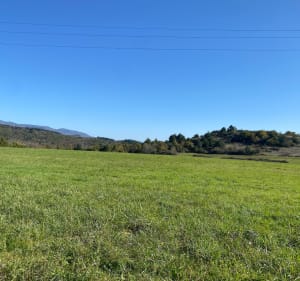 Balade autour de Campestre - Campestre-et-Luc - 3
