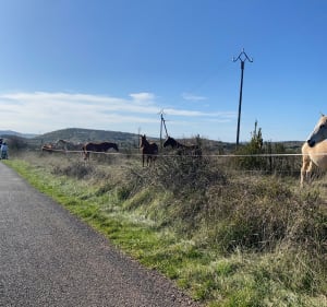 Balade autour de Campestre - Campestre-et-Luc - 4