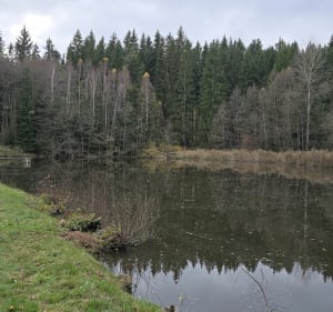 Hyncice (CZ) i miejsce na odpoczynek nad wodą - Hynčice - 4