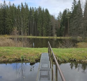 Hyncice (CZ) i miejsce na odpoczynek nad wodą - Hynčice - 5