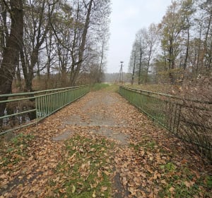 Piesza wyprawa przez stepy i lasy wzdłuż rwącej rzeki - Żędowice - 3