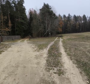Krótki spacer po obrzeżach Puszczy - Hajnówka - 3
