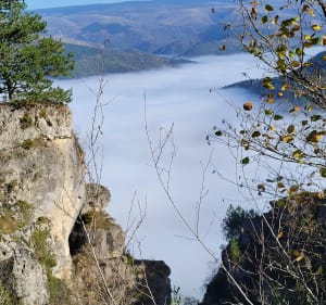Sur le Causse Mejean au dessus de Florac - Florac-Trois-Rivières - 4