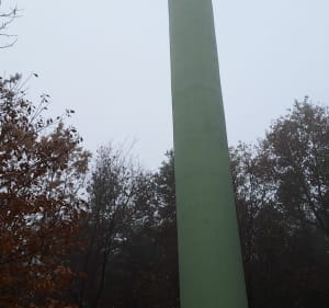 Wyry - leśna pętla ze źródełkiem - Gostyń - 3