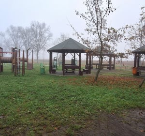 Wyry - leśna pętla ze źródełkiem - Gostyń - 4