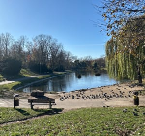 Spacer ulicą Karczówkowską w stronę centrum Kielc - Kielce - 5