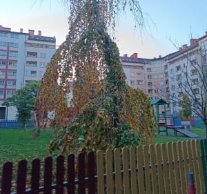 Między placami zabaw i parkami - Kraków - 3