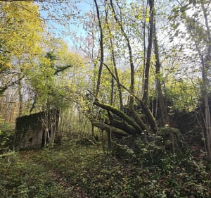 Favieres et ses environs - Favières - 4