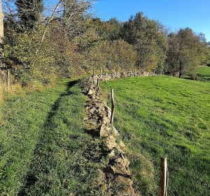 Campagne de Fourneaux - Fourneaux - 3