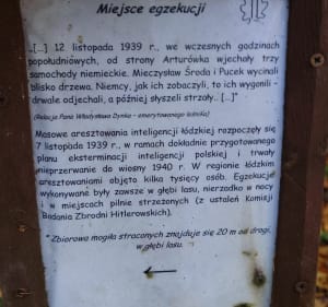 Trasa Las Łagiewnicki w Łódź do miejsca pamięci - Magdalena - 5